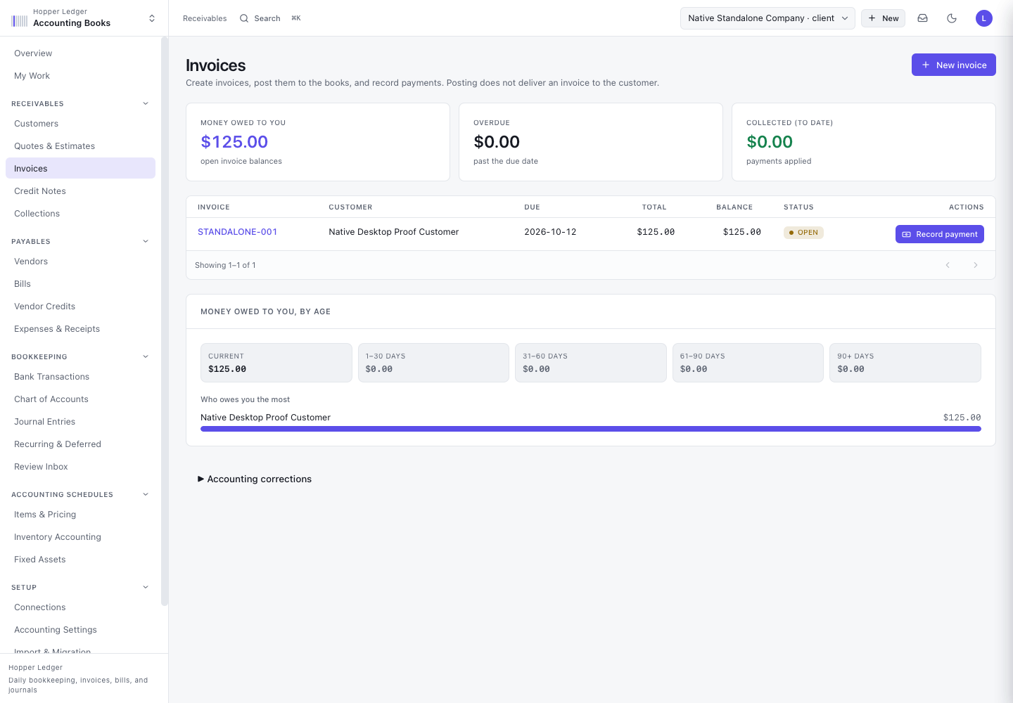 Ledger invoice view with fictional sample company records